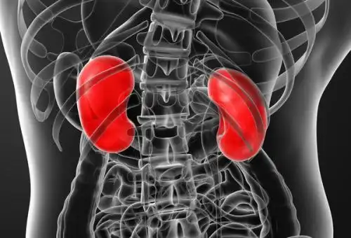 让男人补肾壮阳的民间方法