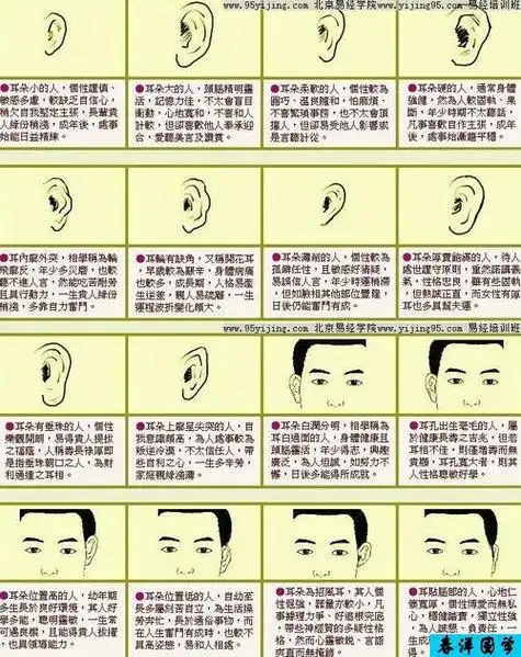 耳垂朝后什么面相