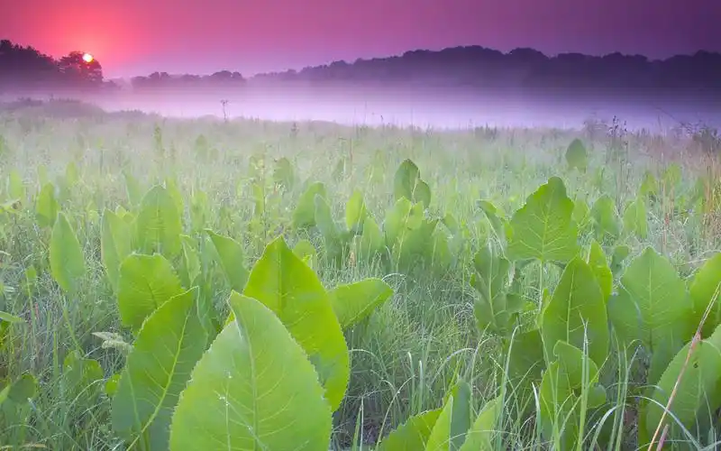 大自然清新护眼风景桌面壁纸(二)