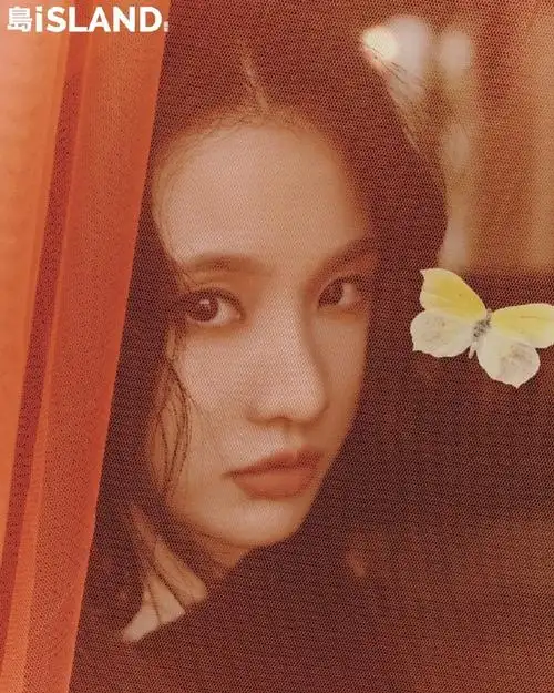 star island guardian 星岛守护者##张慧雯拾忆青春