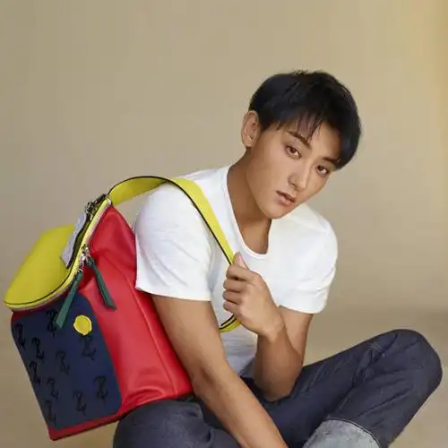 明星同款包包双肩包男