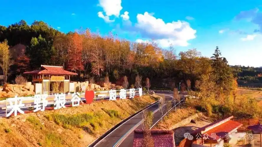 错峰出游太香了34月资溪最佳旅行地榜单来了