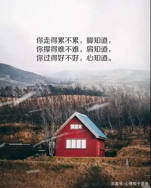 人生感悟的句子简短的,感悟人生精辟短句图片