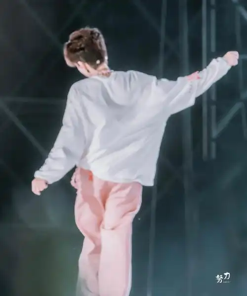 贺峻霖全员加速中##贺峻霖 十九摘星诵捷音#此小猪的快落背影可暗到