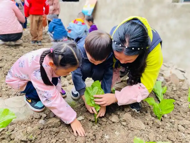 还能学到许多有关植物的科学知识,掌握简单的种植技能,更重要的是能