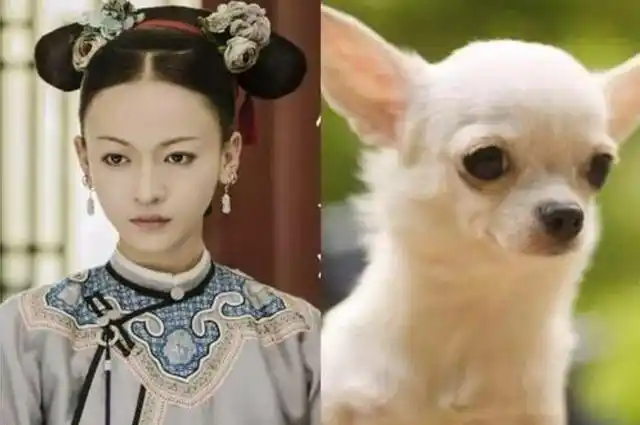 求求吴谨言别减肥了!明明是洋娃娃的脸蛋,如今却瘦成了吉娃娃