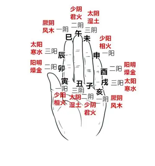 现在开始,大家要掐着手指头啦.首先,掐住你的中指指尖,午山!