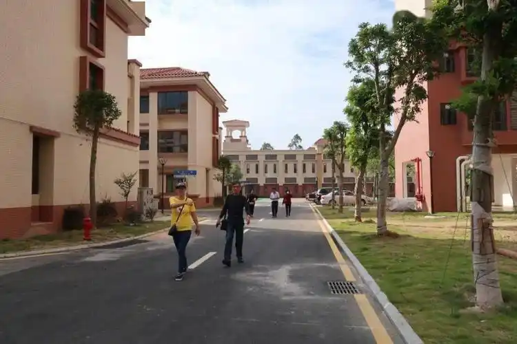 恭喜增城这条村