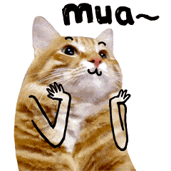 亲亲图片_亲亲动态图_亲亲表情包gif动图下载_soogif