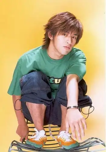 台湾最酷新人王陈柏霖 电力比金城武更强(图)