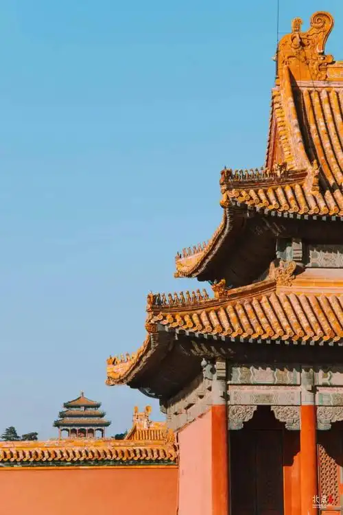 故宫海棠美上热搜!50张图带你看遍紫禁城的四时风光!