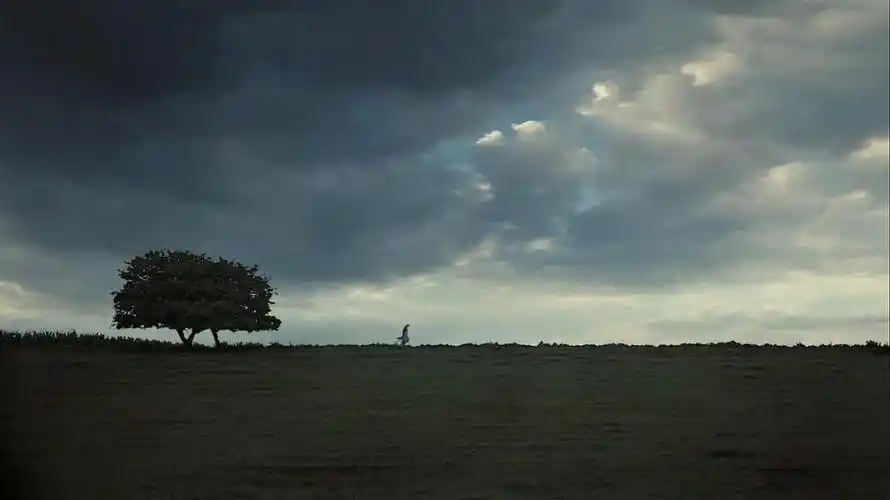 傲慢与偏见每一帧画面都太美了!