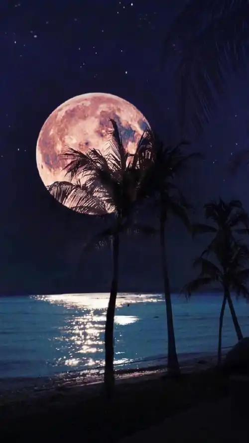 中秋佳节浪漫唯美梦幻圆月