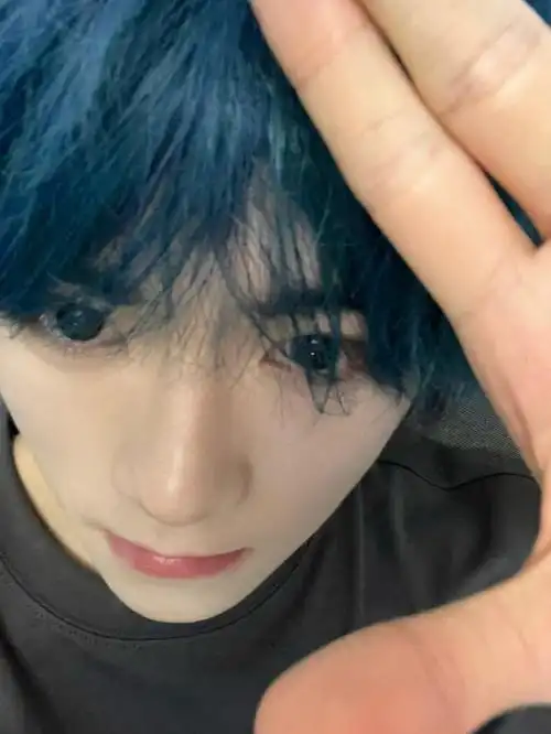 没人喜欢蓝毛吗