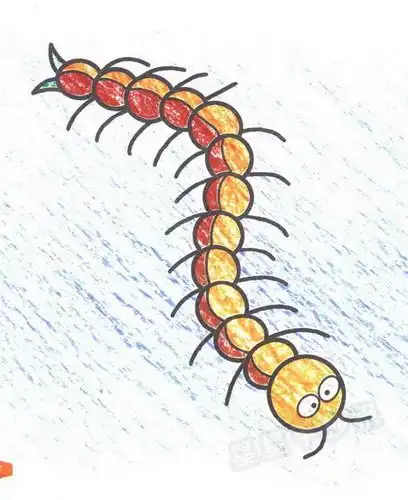 蜈蚣简笔画图片