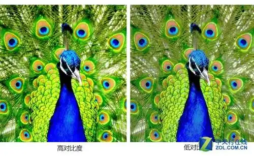 从对比图可以看出