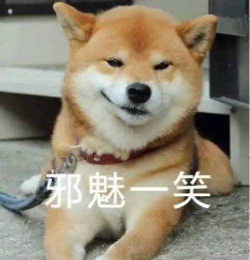 萌宠喵星人邪魅一笑嘻嘻呆萌搞怪gif动图_动态图_表情包下载_soogif