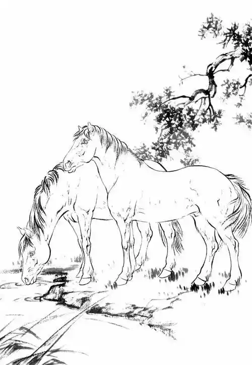 国画《骏马图》高清白描底稿15幅,一马当先,马到成功