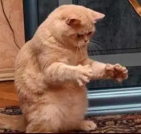 大概……这么大? _ 【表情包】适用于发说说[图片专辑] _ 图片网