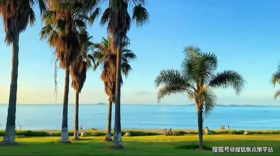 厦门集美望海vip售楼电话集美望海在售详情户型图地址集美望海最新