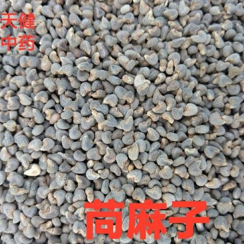 苘麻子中药苘麻子果苘实野苎麻子冬葵子青麻苘麻种子白麻子500克