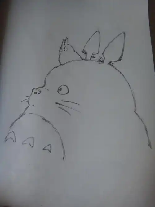 形象 没有临摹好 罪过 毕业后多画点龙猫以示赔罪 向宫崎骏爷爷致敬