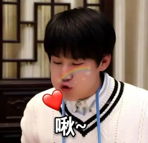 时代少年团张真源表情包真捧场啊