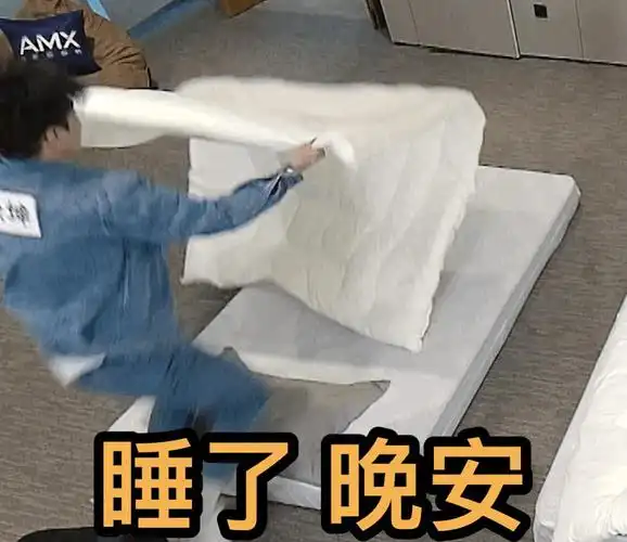 有没有晚安的表情包啊