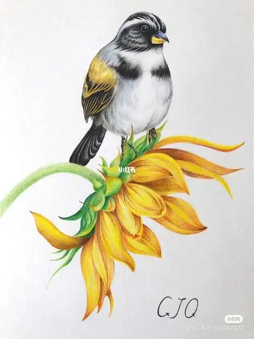 彩铅马克笔花鸟装饰画