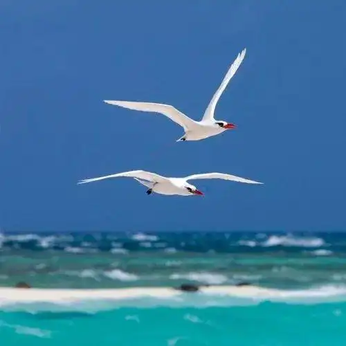 吉利好看的微信头像图片