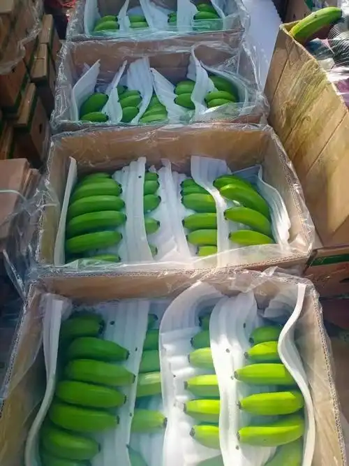 [香蕉批发]云南保山腾冲市香蕉 5.00元/公斤猴桥缅甸货,中货 _ 一亩田