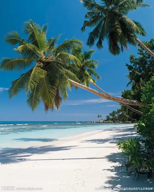 海滩风光摄影图_海景seacape海上花_自然风景_自然景观_摄影图库_昵图