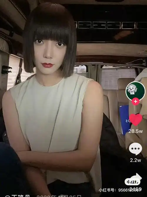 胆大了04尝试北辙南辕王珞丹发型