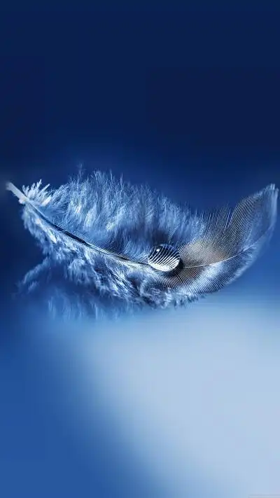 三星手机壁纸【1440x2560】samsung galaxy s7 蓝色 羽毛 水滴