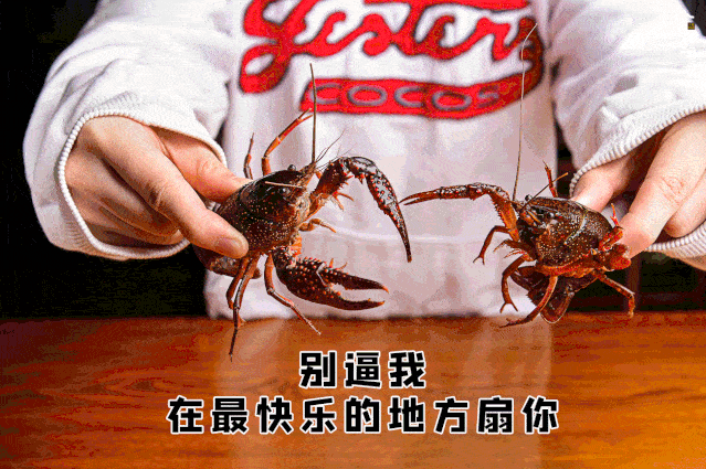 我摊牌了,我在这嗦了3斤虾,100块都没花到!