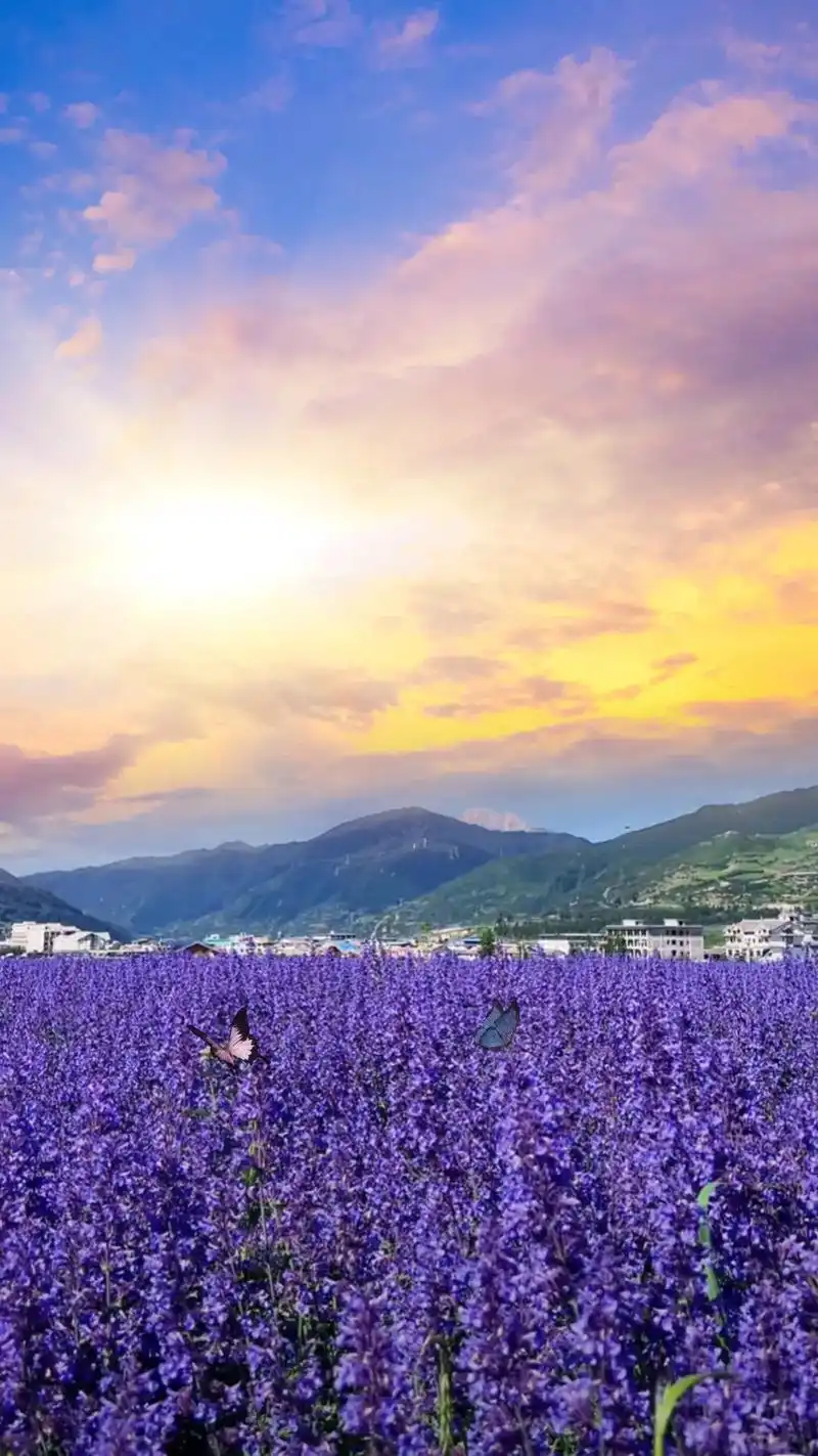 好风景会带来好运,恭喜你,好事将到来 #壁纸 #风景#闪闪壁 - 抖音