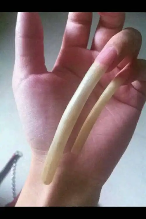 我喜欢留长指甲留了五六年了,你们觉得漂亮吗,你们怎么看待我留长指甲