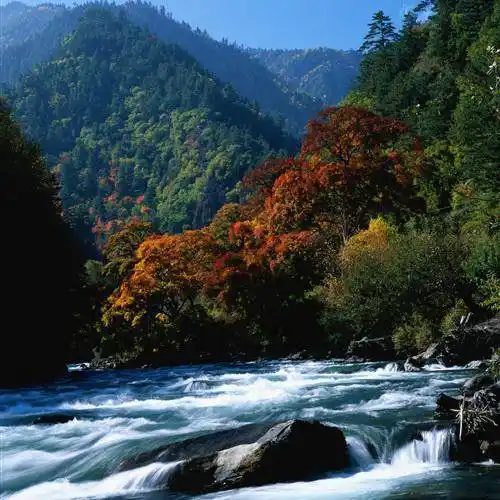 大自然的美干净治愈山水风景微信头像图片2022最新款