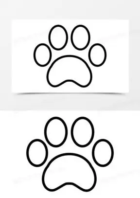 动物脚图片素材