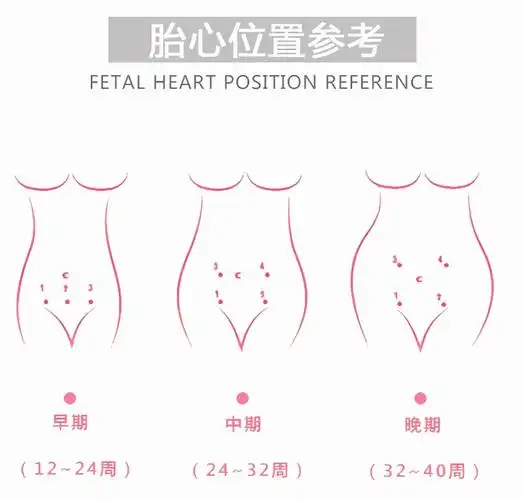在家里怎么正确的使用胎心仪