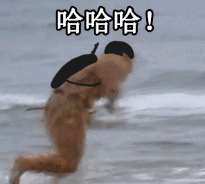 每天一套gif图来今天晚上请大家吃鲨鱼肉