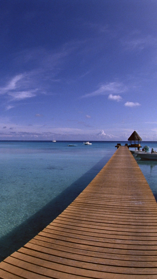 海边度假h5背景