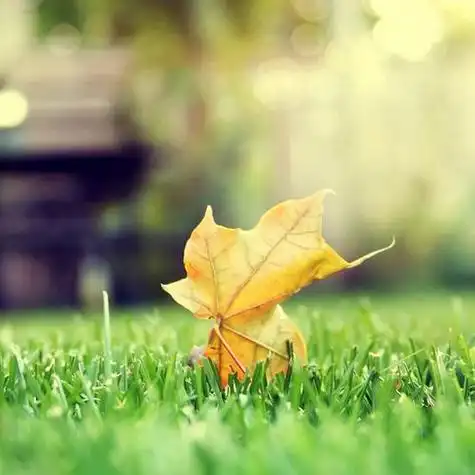 给人一种阳光的头像 高清好看充满阳光朝气的微信头像图片_微信头像