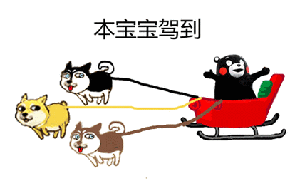 三只doge牵着熊本熊 - 【雪橇三傻】天气转冷以后,一部分单身狗变成了