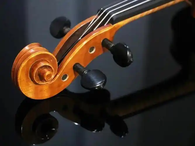 种草新手入门初阶小提琴必备款1