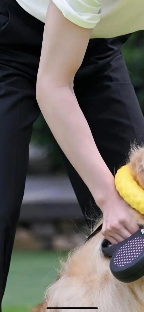 世界美腿大赛第一名7215#奔跑吧蔡徐坤#@蔡徐坤