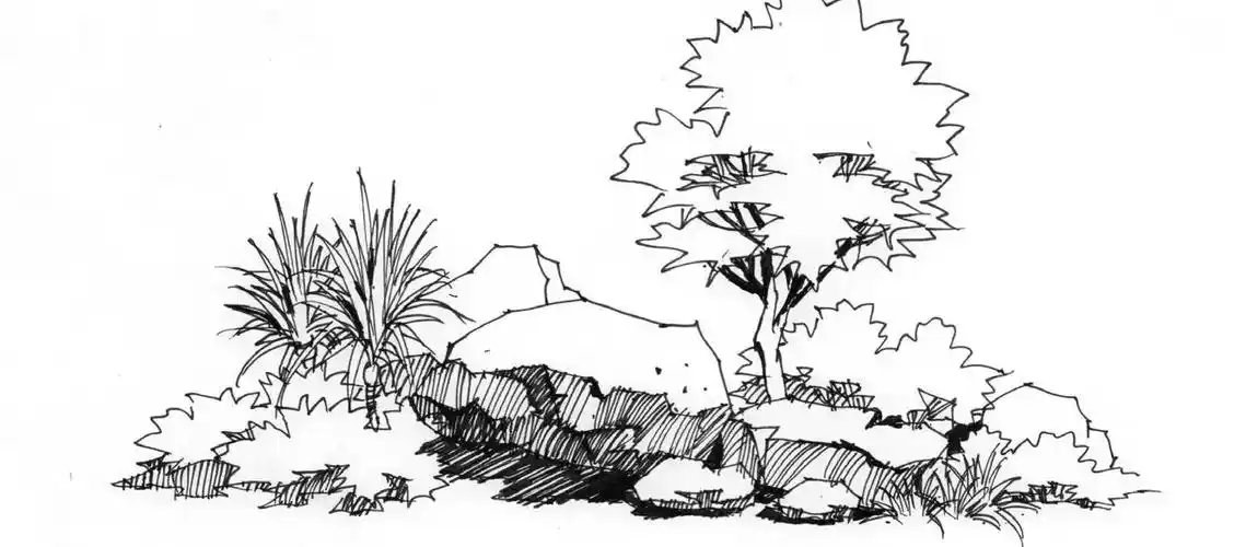 十八天画好手绘