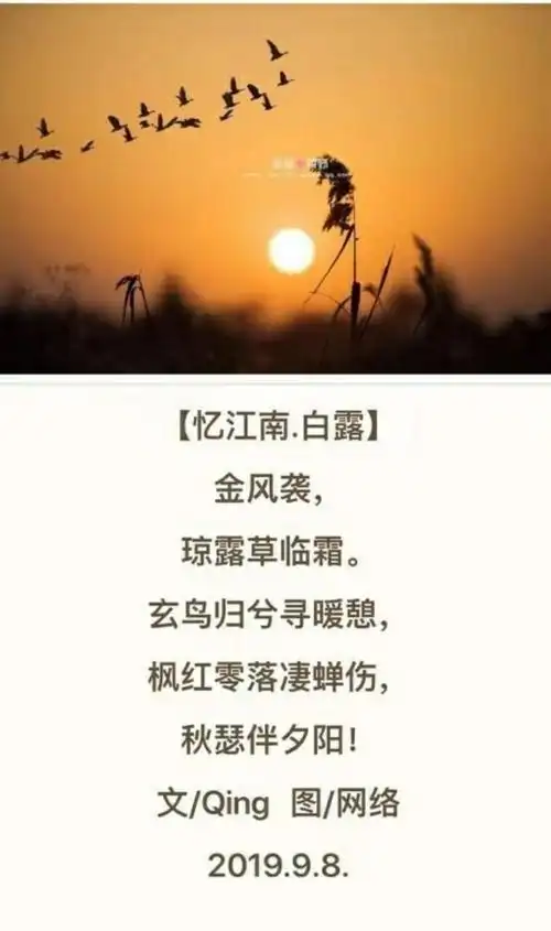 水城诗社2019第五期美篇