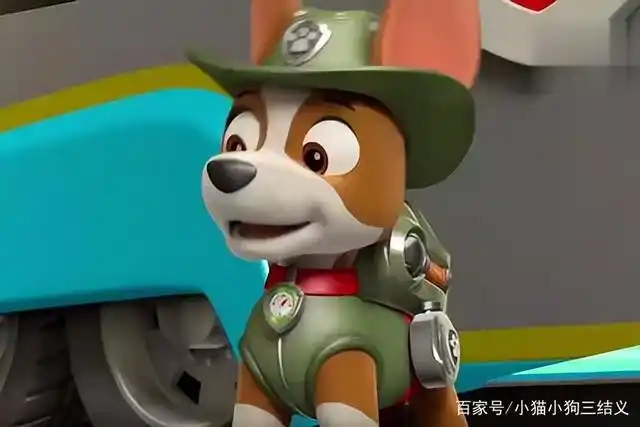 汪汪队立大功,从狗狗口头禅,看不同品种的狗狗特点个性(二)