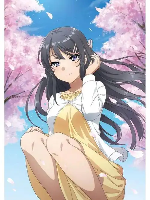 人气超高的二次元动漫老婆